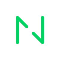 Netguru logo
