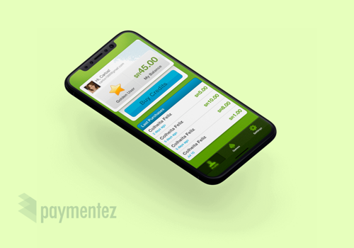 Paymentez: Enhancing UX to 2x Revenue in One Year