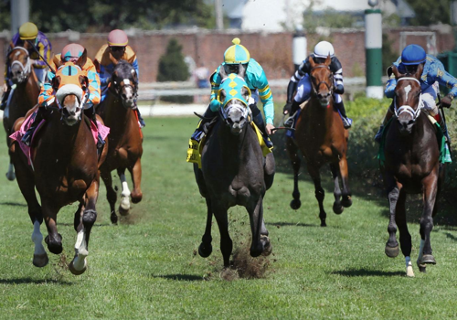 NYRA & Belmont Stakes