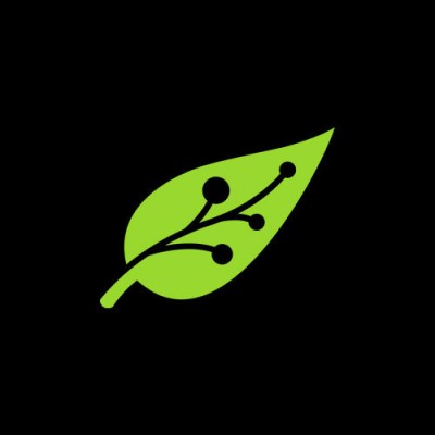 Mowgli - Your Digital Growth Partner logo