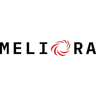 celerart. logo