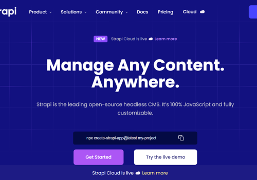 Official Strapi.io website long-term maintenance