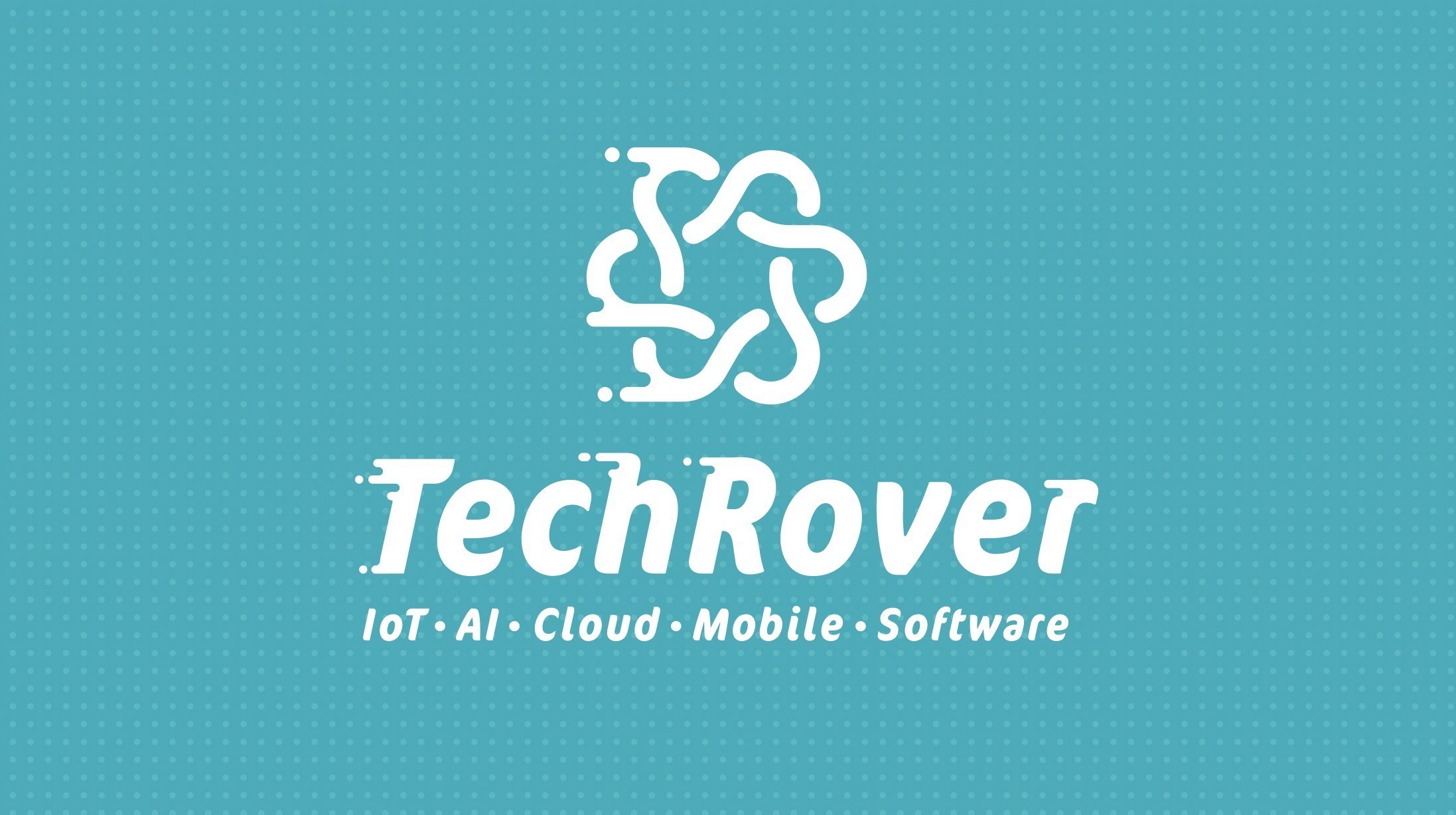 TechRover Solutions cover
