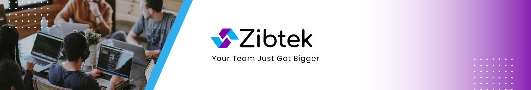Zibtek cover